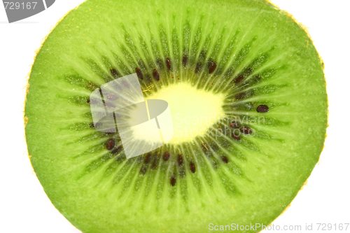 Image of Kiwi,