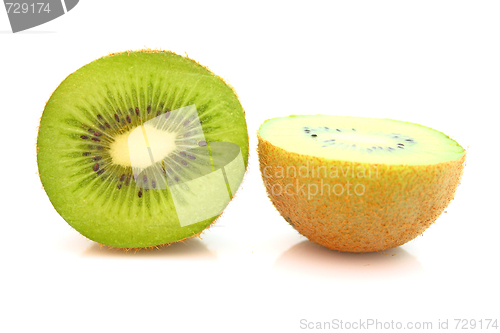 Image of Kiwi,