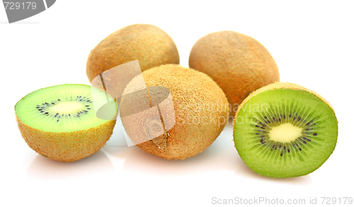 Image of Kiwi,