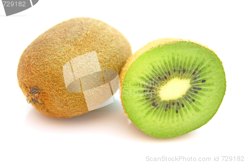 Image of Kiwi,