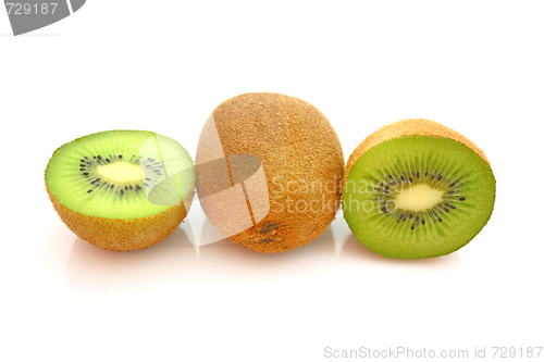 Image of Kiwi,