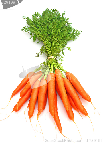 Image of Carrots