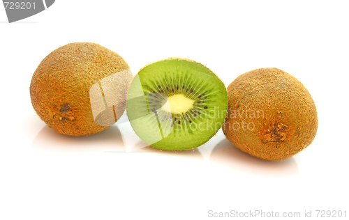 Image of Kiwi,