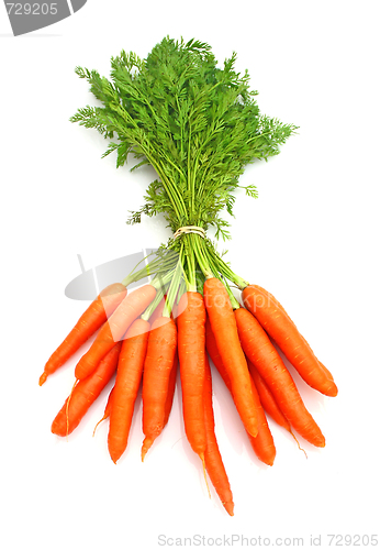 Image of Carrots