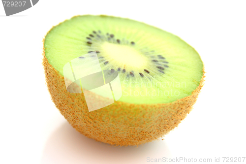 Image of Kiwi,