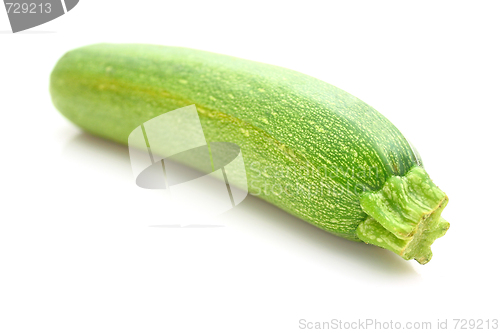 Image of Zucchini