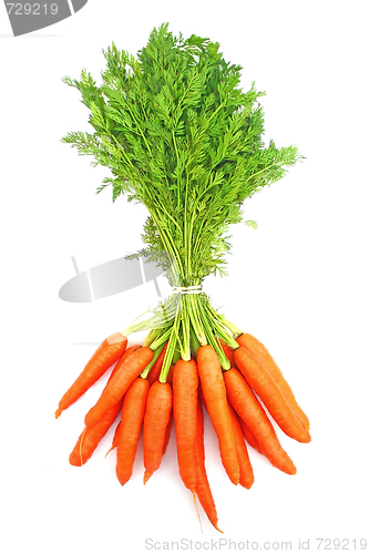 Image of Carrots