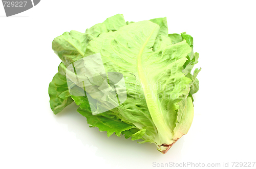 Image of Salad