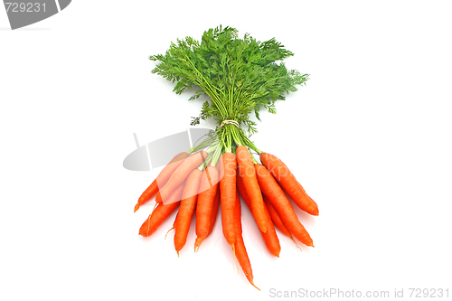 Image of Carrots