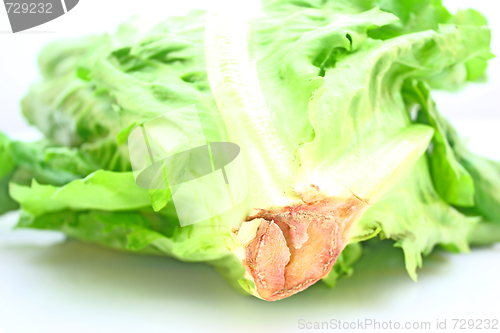 Image of Salad