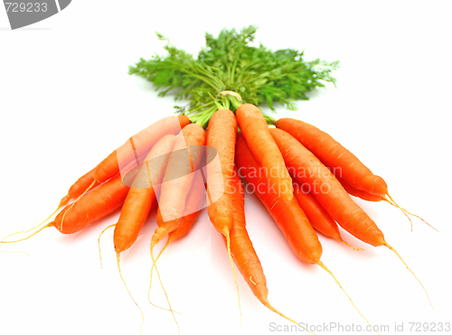 Image of Carrots