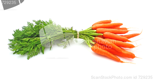 Image of Carrots