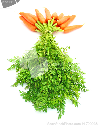 Image of Carrots