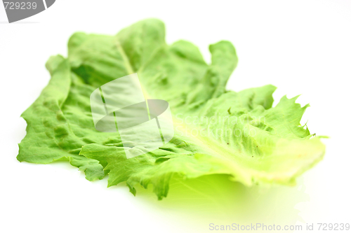 Image of Salad