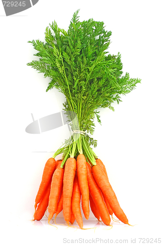 Image of Carrots