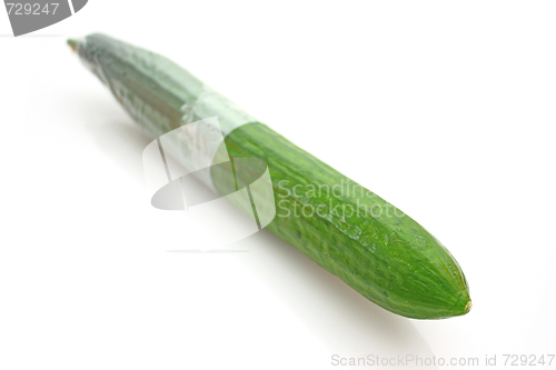 Image of Cucumber
