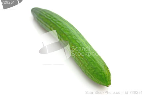 Image of Cucumber