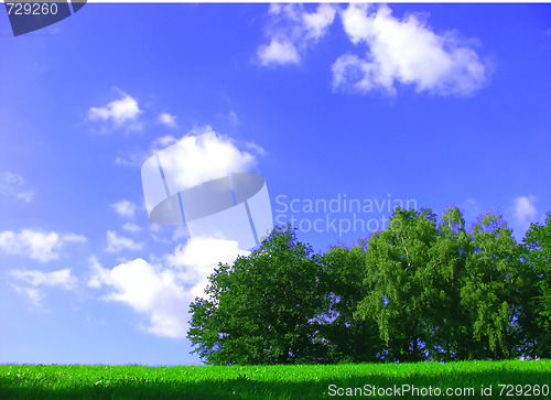 Image of Summer
