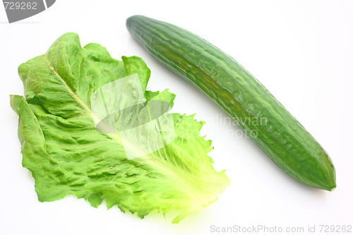 Image of Vegetable