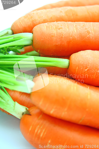 Image of Carrots