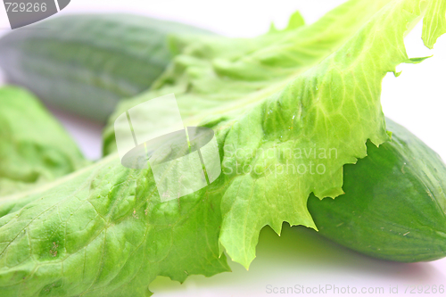 Image of Vegetable