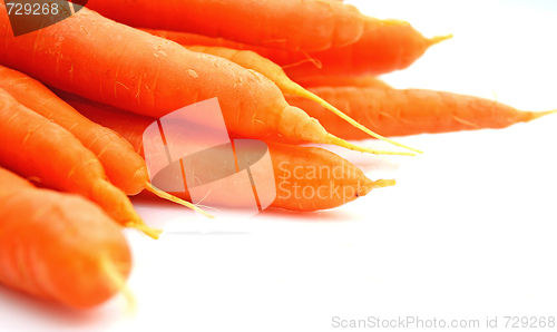 Image of Carrots