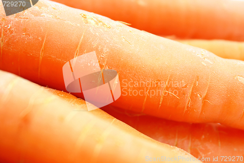 Image of Carrots