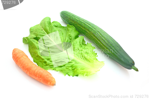 Image of Vegetable