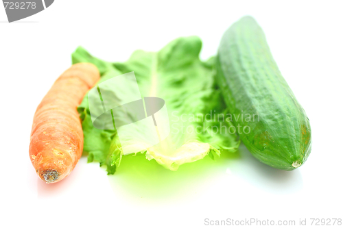 Image of Vegetable