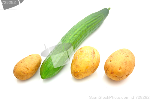 Image of Vegetable