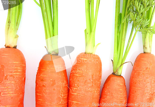 Image of Carrots