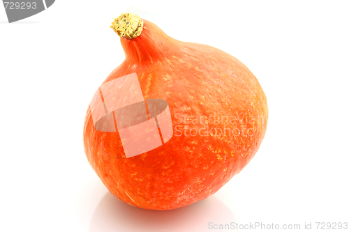 Image of Pumpkin
