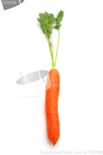 Image of Carrots