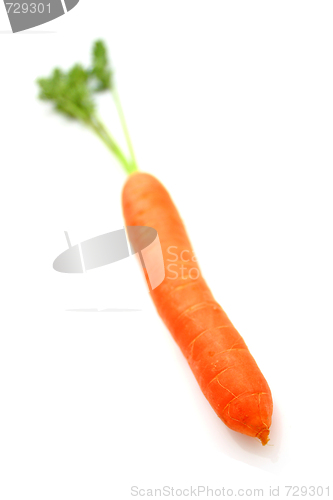 Image of Carrots