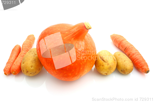 Image of Vegetable