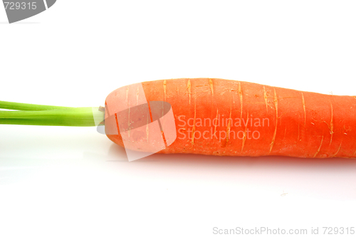 Image of Carrots