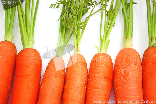 Image of Carrots