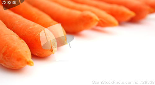 Image of Carrots