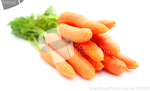 Image of Carrots