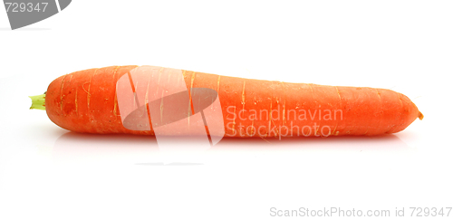 Image of Carrots