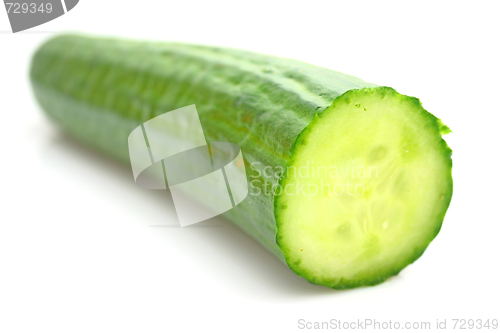 Image of Cucumber