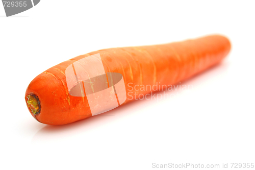 Image of Carrots