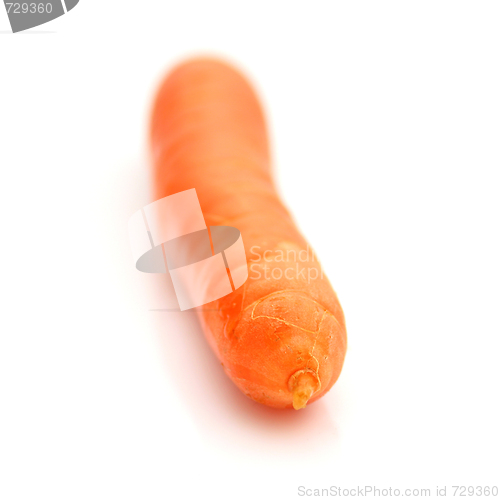 Image of Carrots