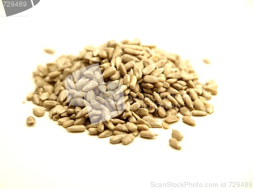 Image of Sunflower Seeds 