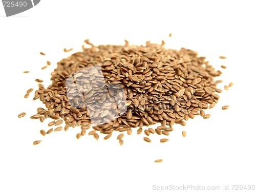 Image of Lin Seeds 