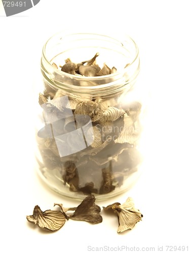 Image of Dried Mushrooms 