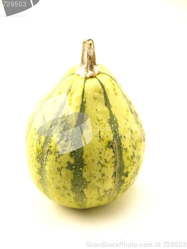 Image of Pumpkin 