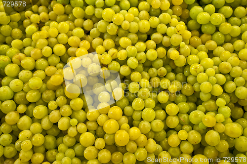 Image of Green grapes.