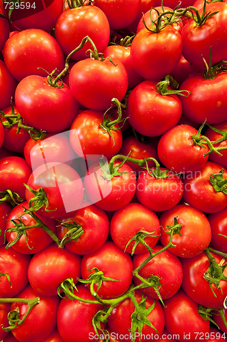 Image of Tomatoes