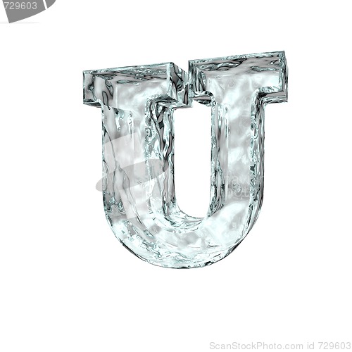 Image of frozen leter U